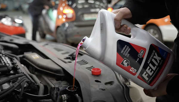 Антифриз и масло: пара, от которой зависит ресурс мотора