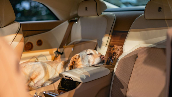 Уникальный Rolls-Royce Spectre Bailey: щенячий восторг